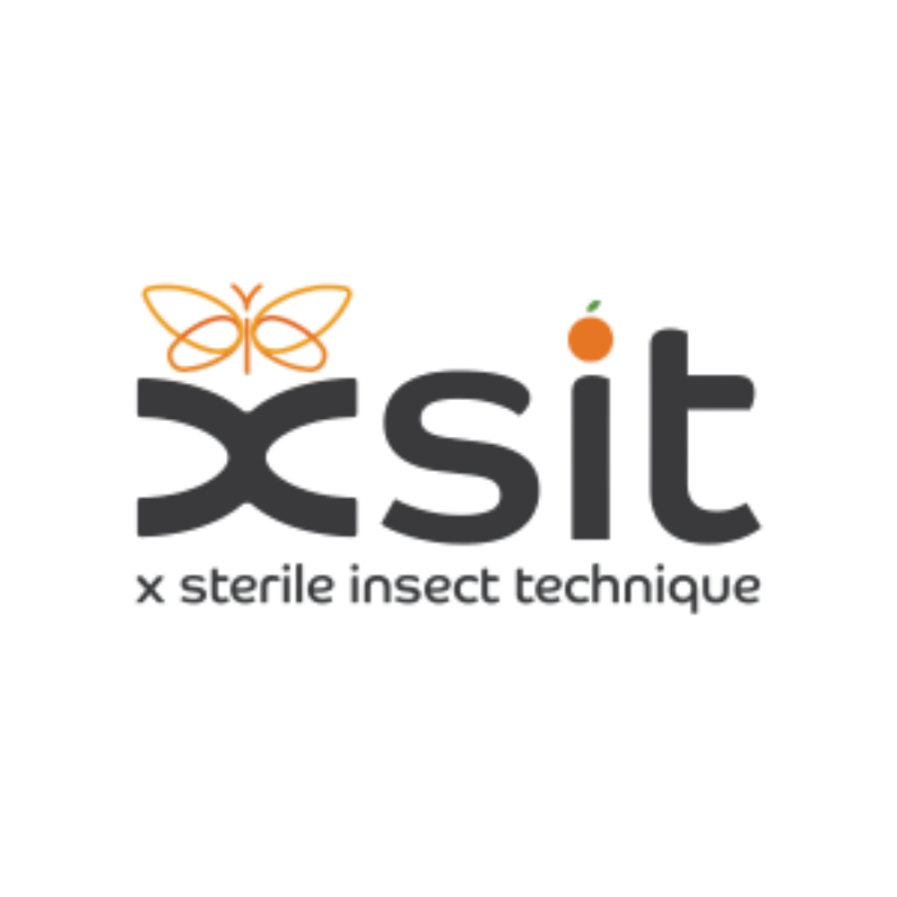 xsit logo