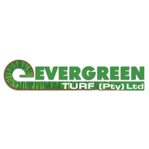 Evergreen turf